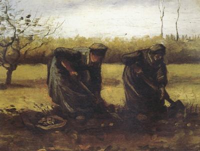 Vincent Van Gogh Two Peasant Women Digging Potatos (nn04) oil painting image